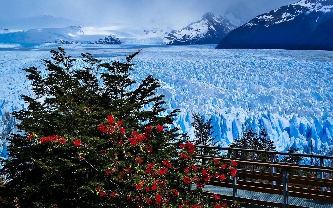 1280x800 Wallpaper Argentina Perito Moreno Glacier Santa Cruz Province, Desktop