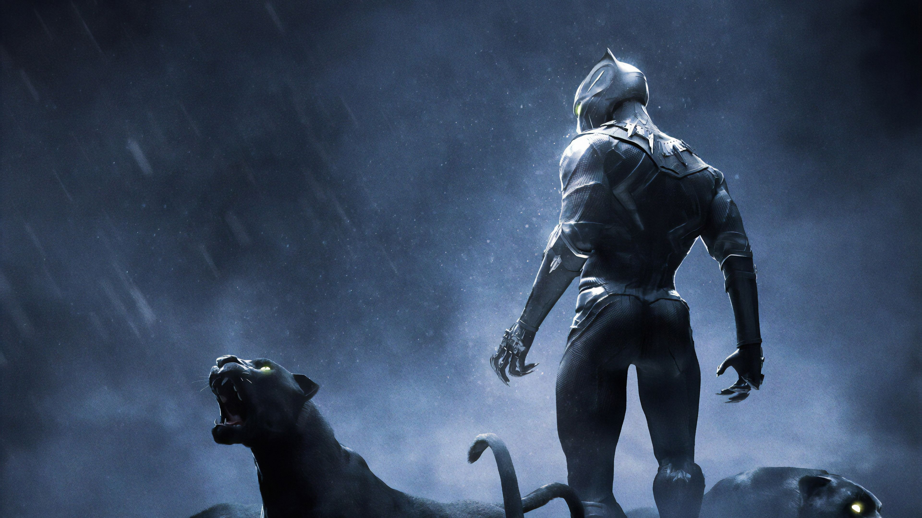 3840x2160 Wallpaper 4k Black Panther Rise Up 4k Wallpaper, Artstation, Desktop