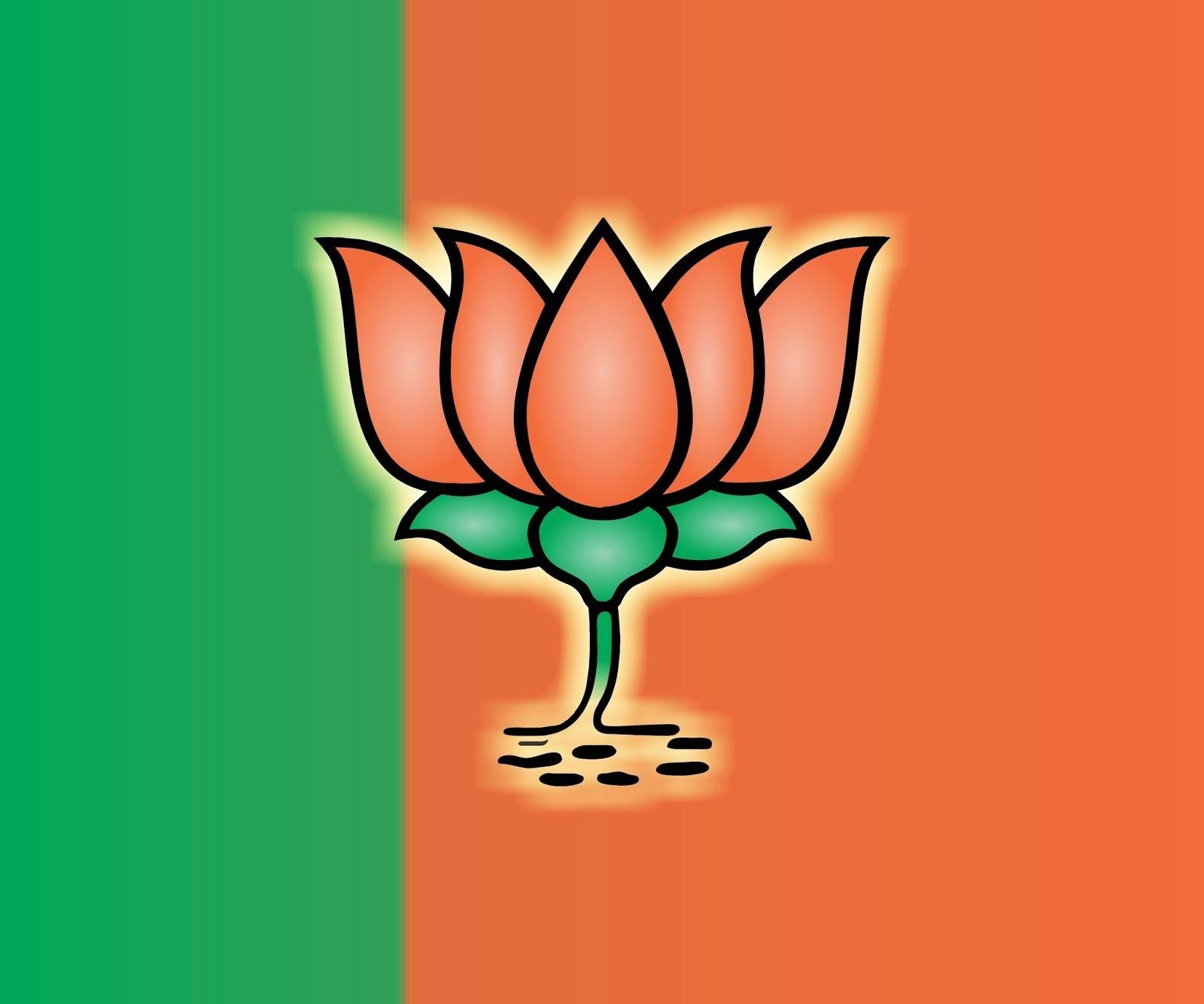 1600x1340 bjp flag background 1. Background Check All, Desktop