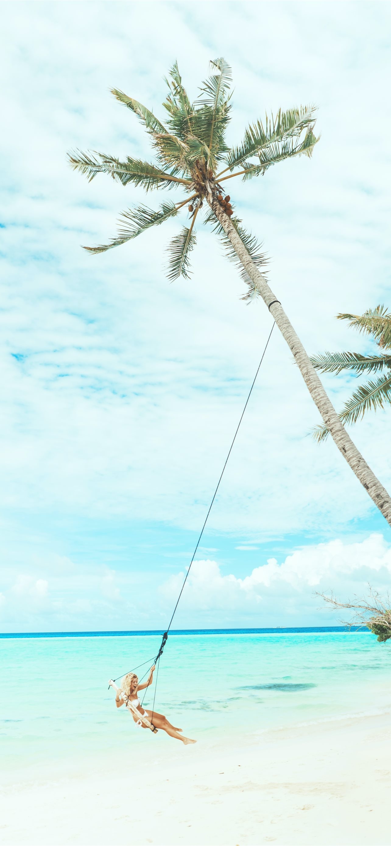 1290x2780 woman swing under coconut tree iPhone Wallpaper Free Download, Phone