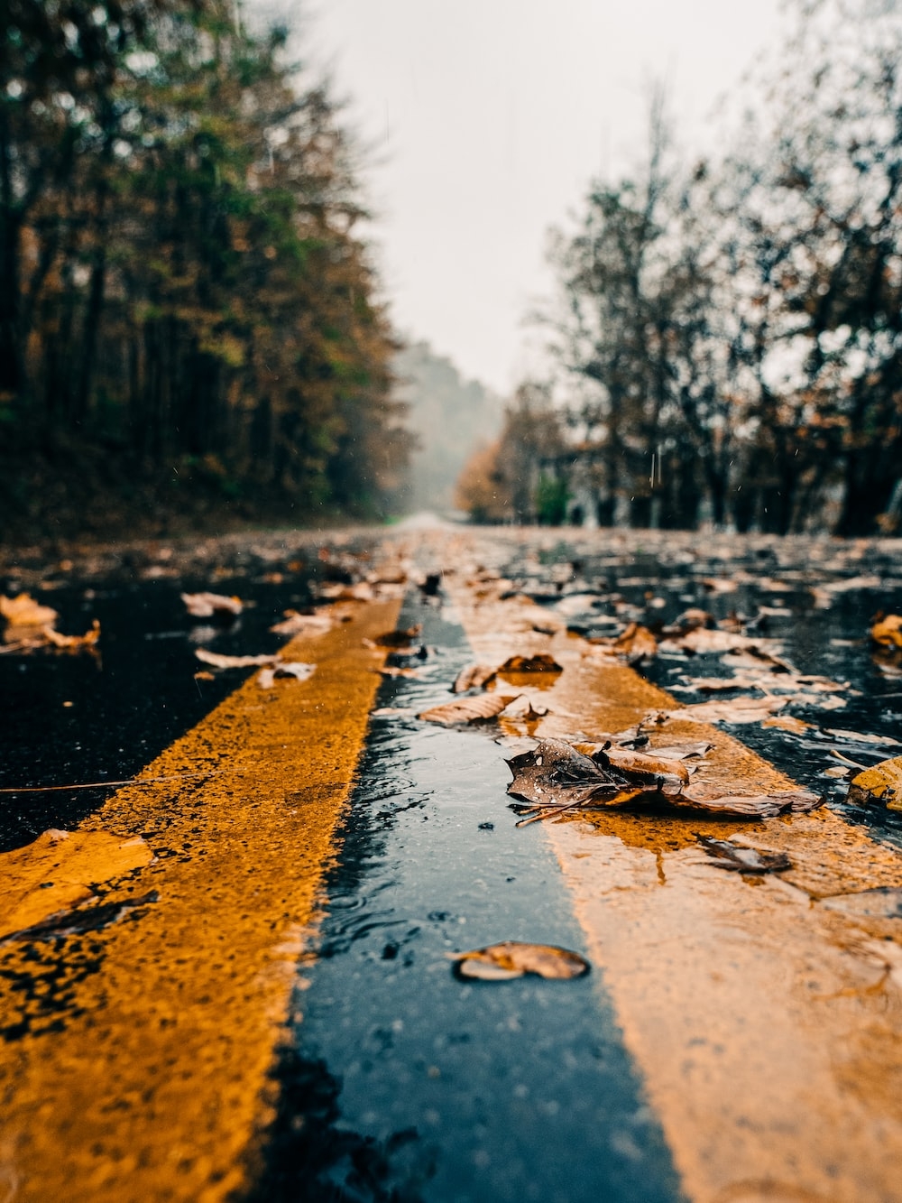 1000x1340 Autumn Rain Picture. Download Free Image, Phone