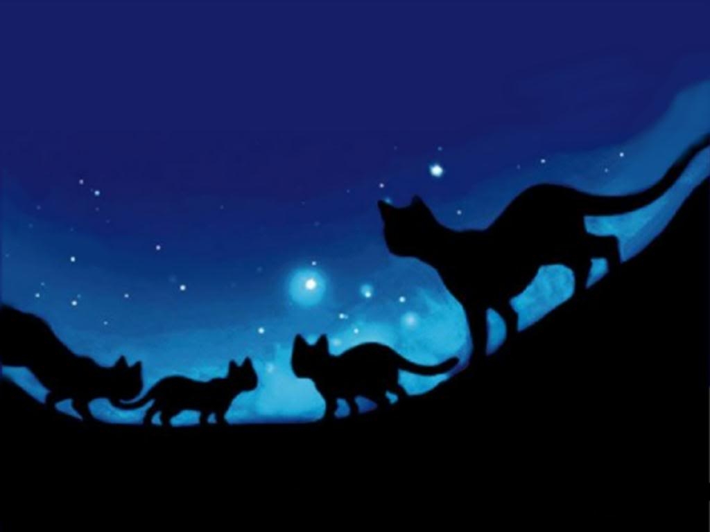 1030x770 Pix For > Warrior Cats Wallpaper Desktop, Desktop