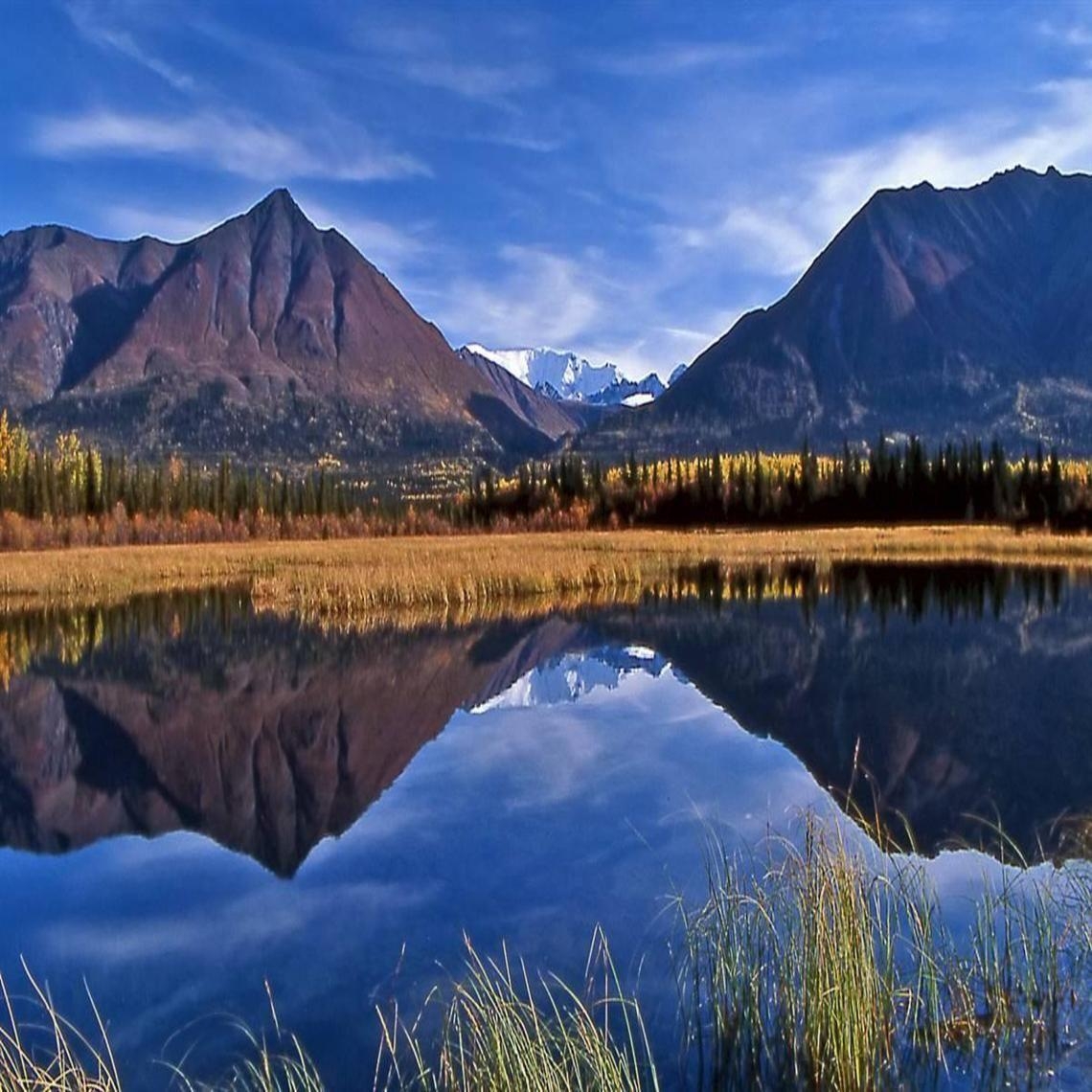 1140x1140 Wrangell St. Elias National Park & Preserve. Nature / Animals, Phone