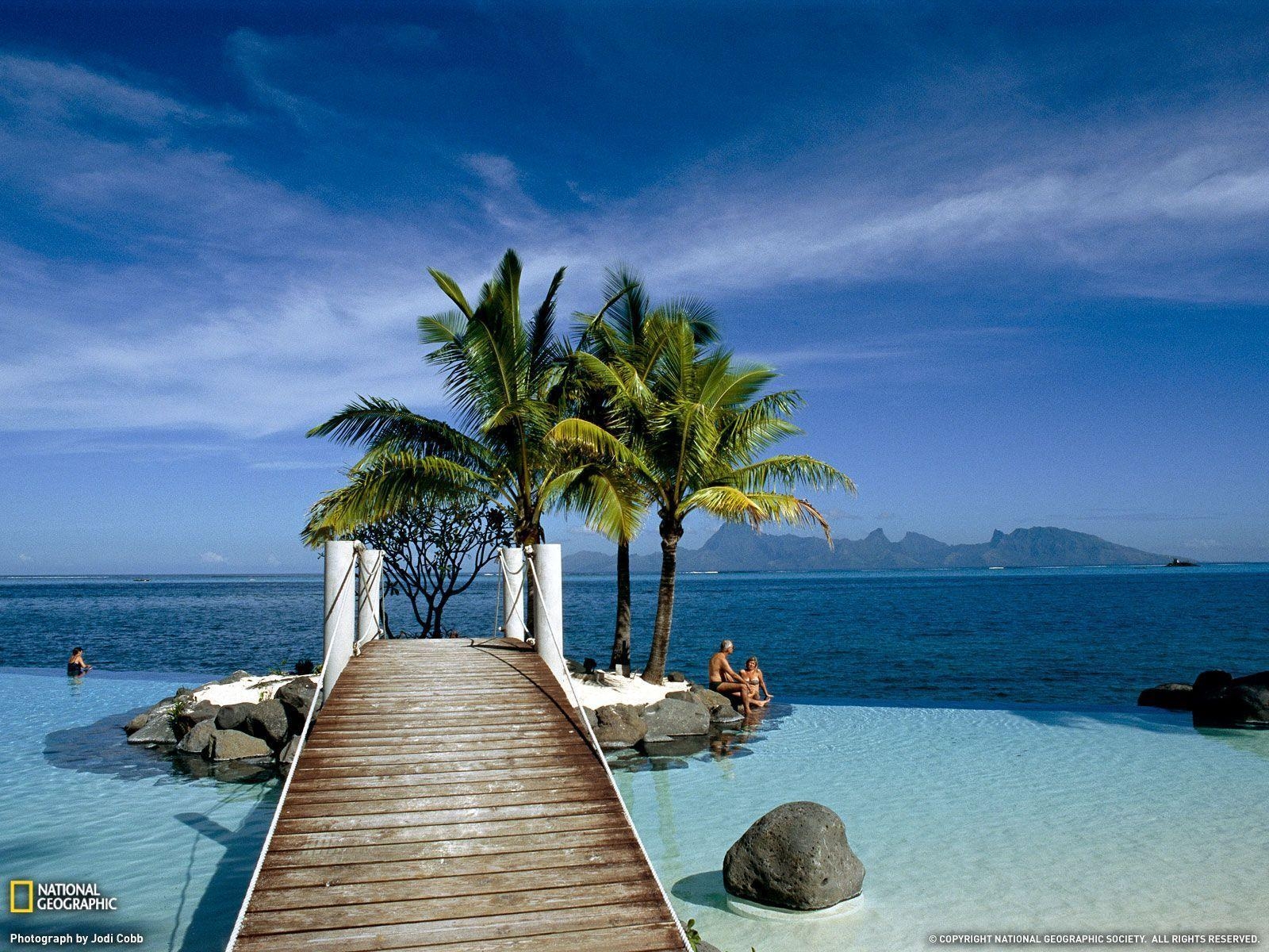 1600x1200 Tahiti, Dock and Palm Trees, Photo of the Day, Picture, Desktop