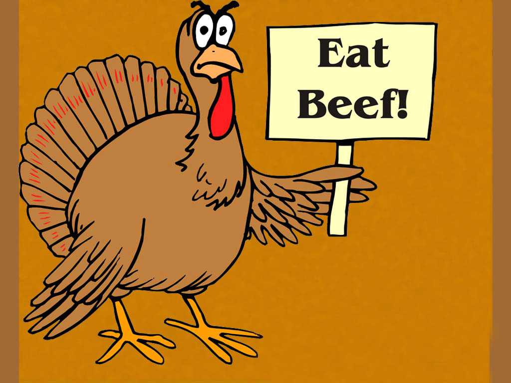 1030x770 Funny Thanksgiving Wallpaper Free Funny Thanksgiving Background, Desktop