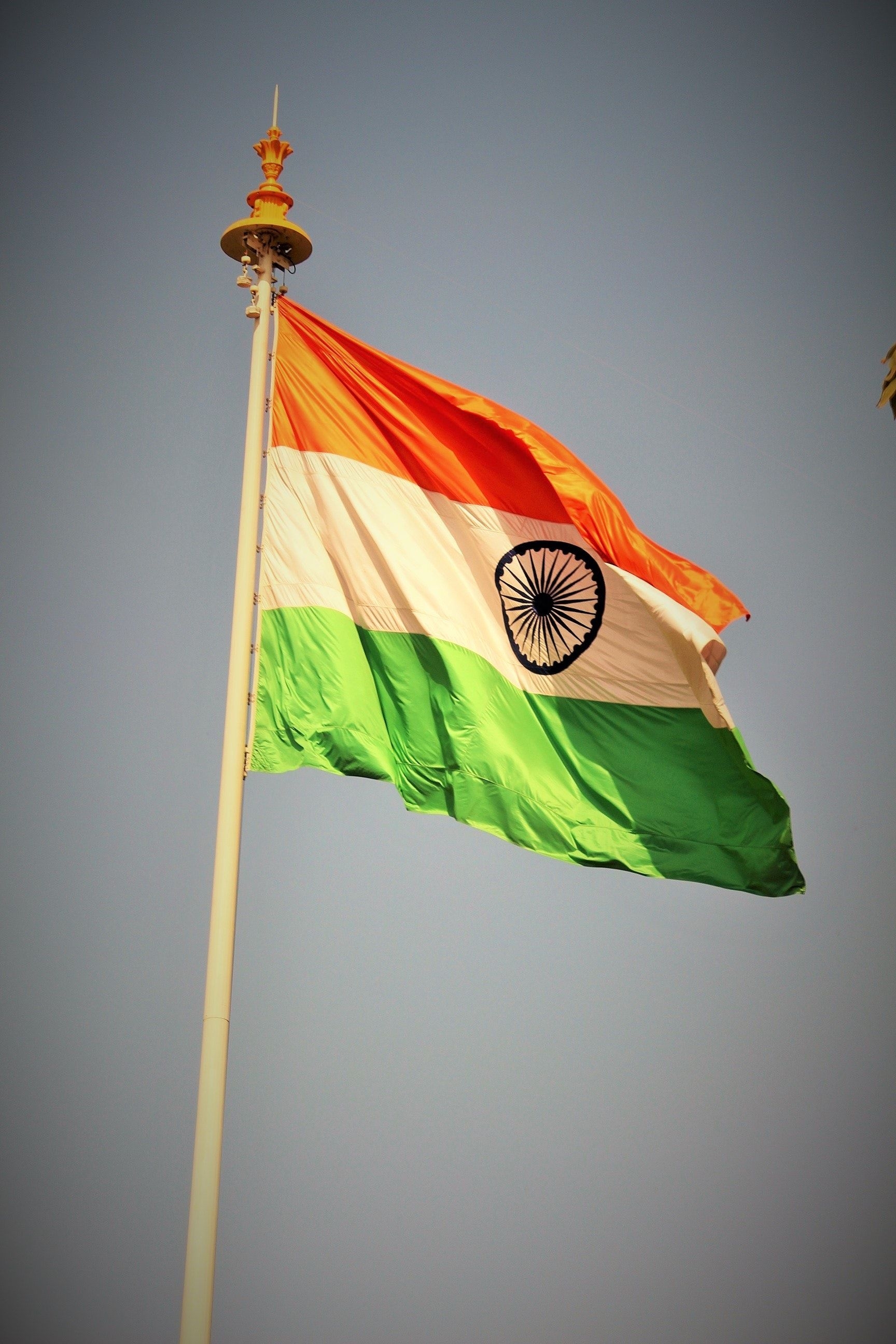 1730x2600 Indian Flag HD Wallpaper Free Indian Flag HD Background, Phone