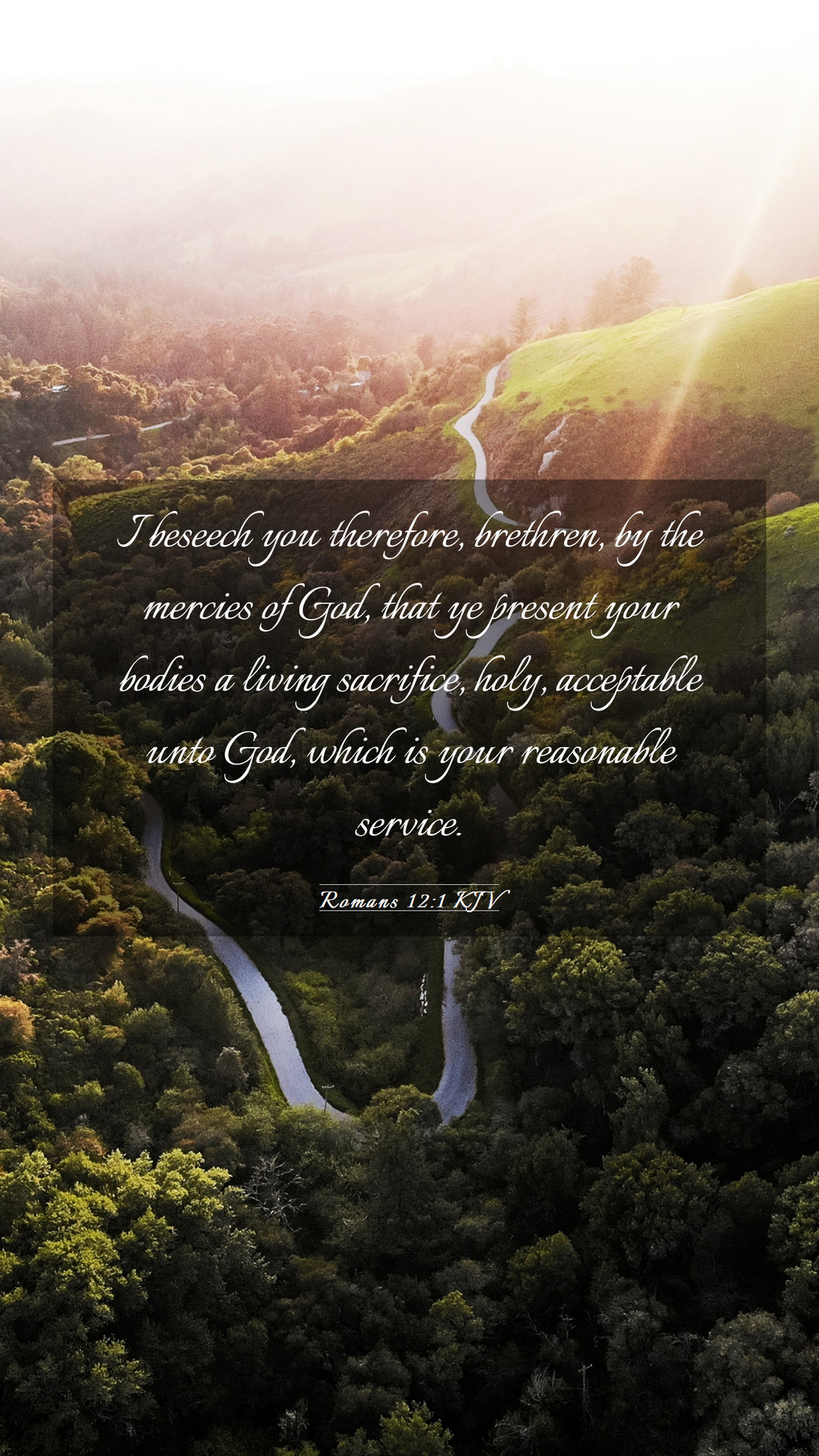 1080x1920 Romans 12:1 KJV Mobile Phone Wallpaper beseech you therefore, brethren,, Phone