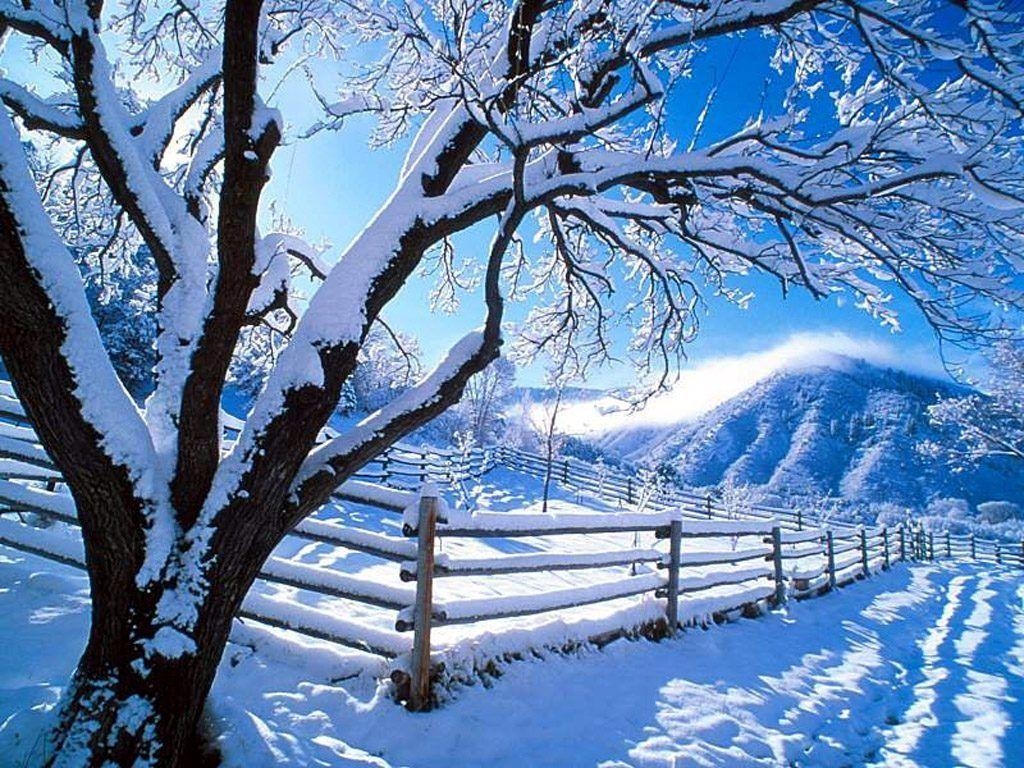 1030x770 Beautiful Winter Wallpaper Reviver Design Blog, Desktop