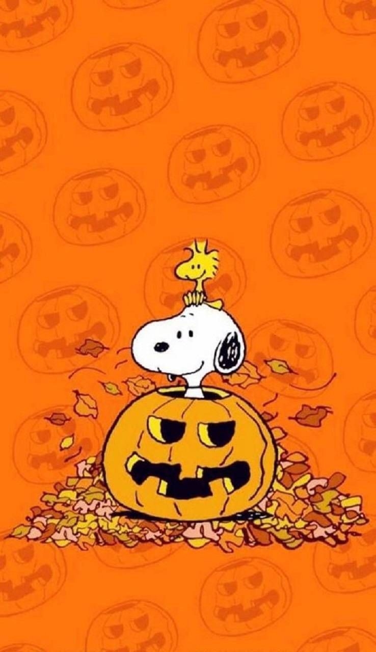 740x1280 Download Snoopy Halloween Wallpaper by zakum1974 now. Browse millions of popular halloween Wallpaper and Ringtones on Zedge and personali. Snoopy, Halloween, Çizimler, Phone