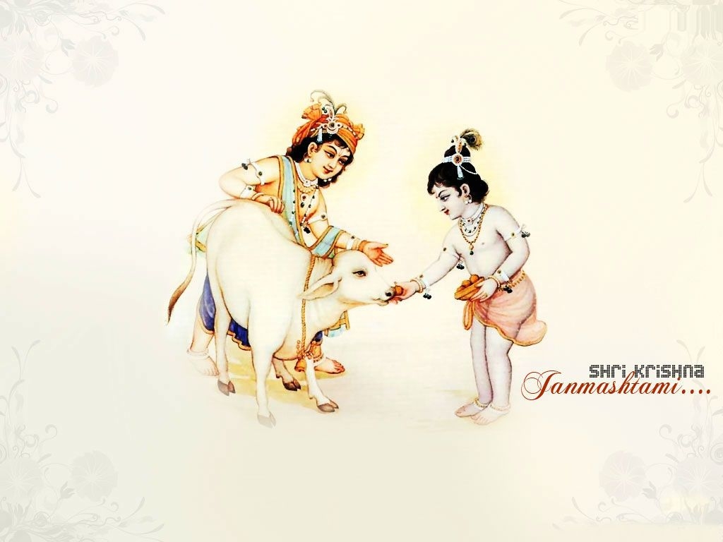 1030x770 Krishna Balaram Feeding Cow wallpaper, Desktop