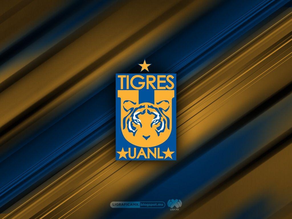 1030x770 Tigres • Wallpaper 22062013CTG, Desktop