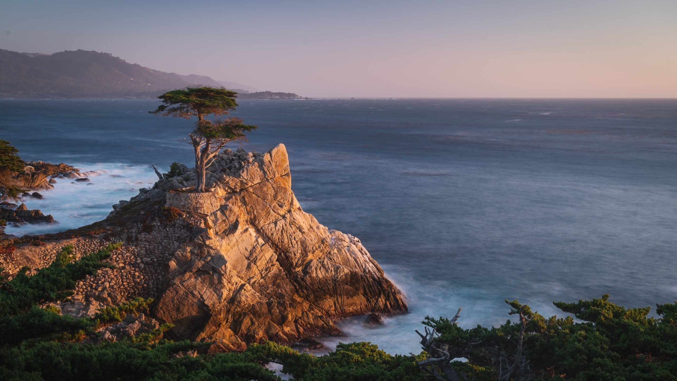 2560x1440 In Defiance Of Apple, This Is A Nature Themed MacOS Monterey Wallpaper, Desktop