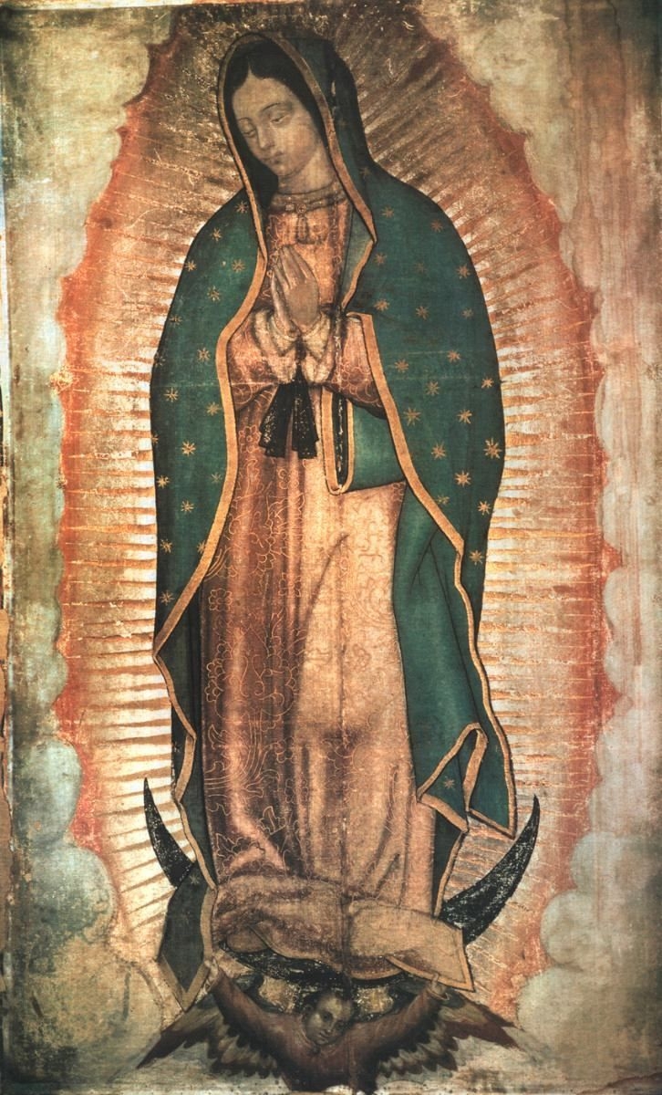 730x1200 Our Lady Of Guadalupe Wallpaper, Phone