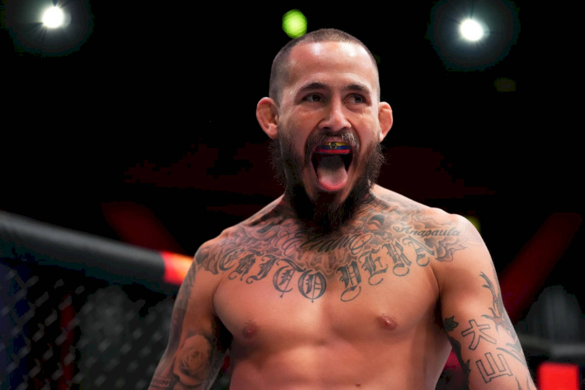 1920x1280 Marlon Vera Wallpaper, Desktop