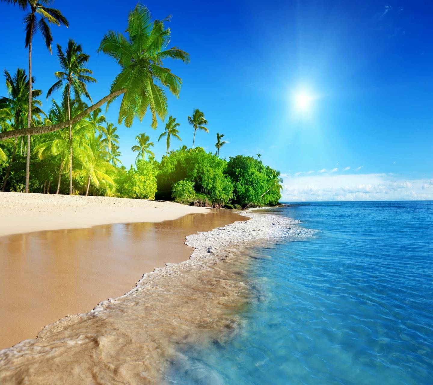 1440x1280 Tropical Paradise Wallpaper, Desktop