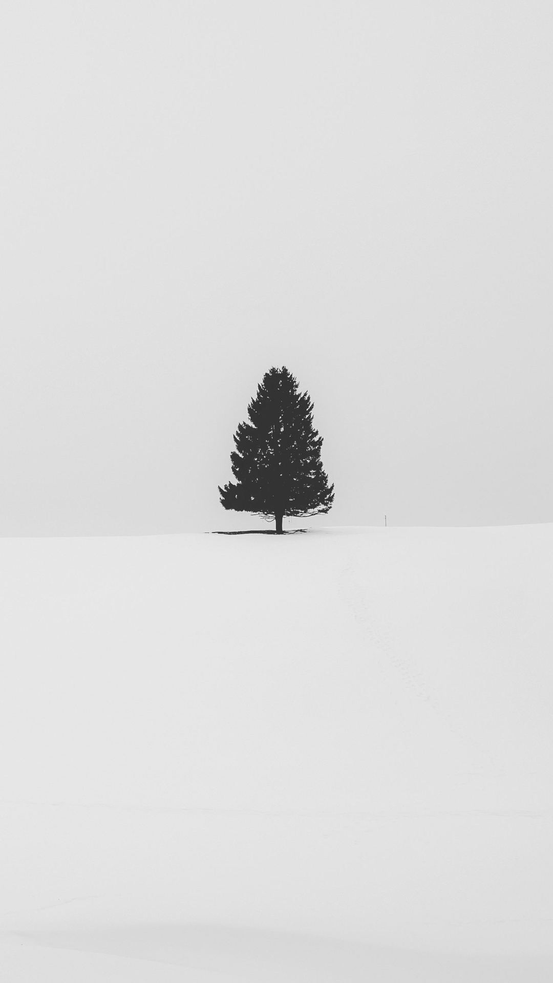 1080x1920  snow, tree, minimalism, minimalist, nature, hd, 5k for iPhone 8 wallpaper, Phone