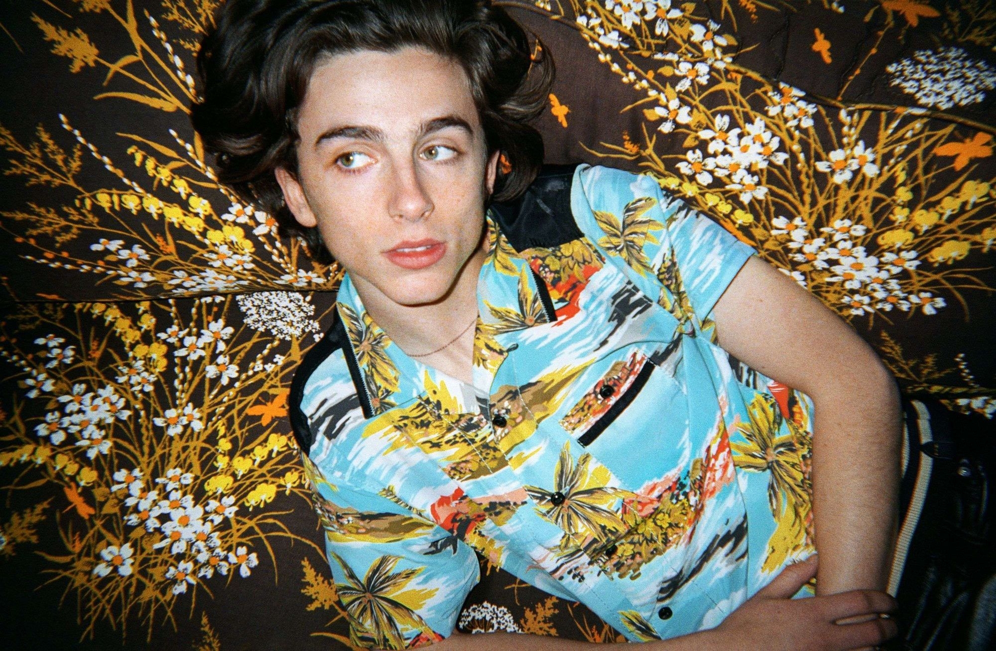 2000x1310 Timothee Chalamet wallpaper, Desktop