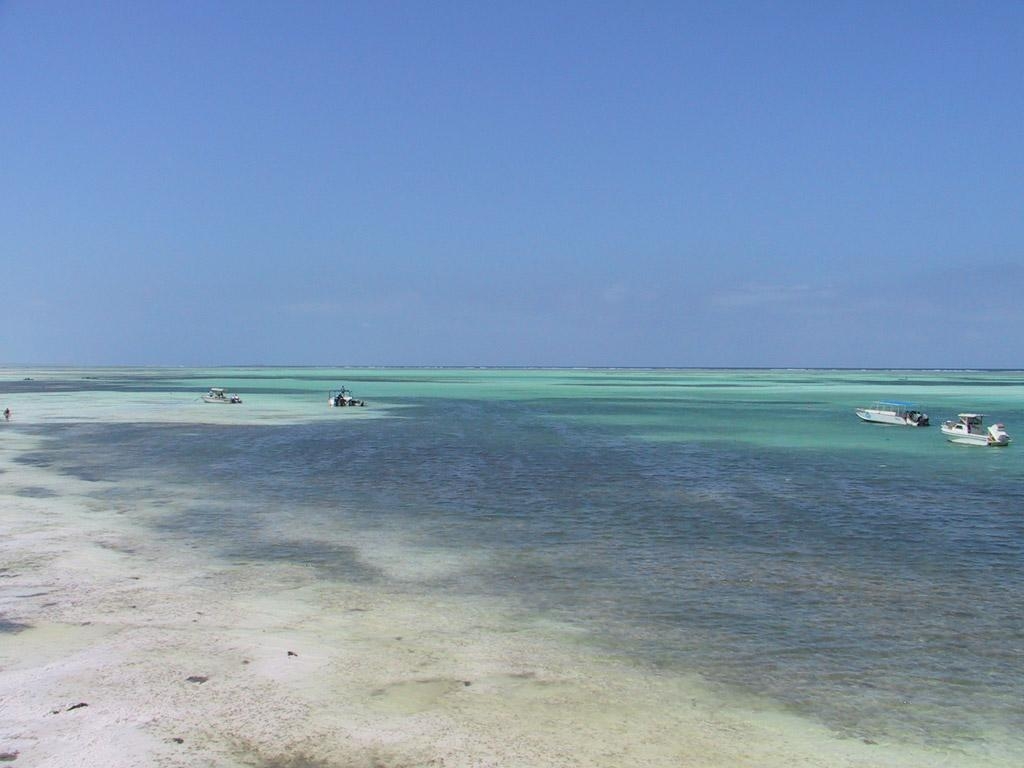 1030x770 Desktop wallpaper: sea: Zanzibar, Desktop