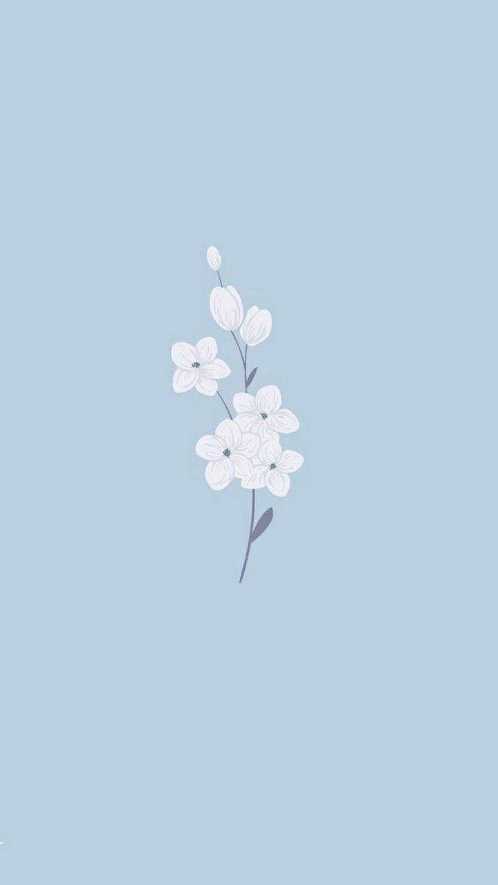 720x1280 flower aesthetic. Baby blue wallpaper, Cute wallpaper for ipad, Cute blue wallpaper. Baby blue wallpaper, Blue wallpaper, iPhone wallpaper themes, Phone