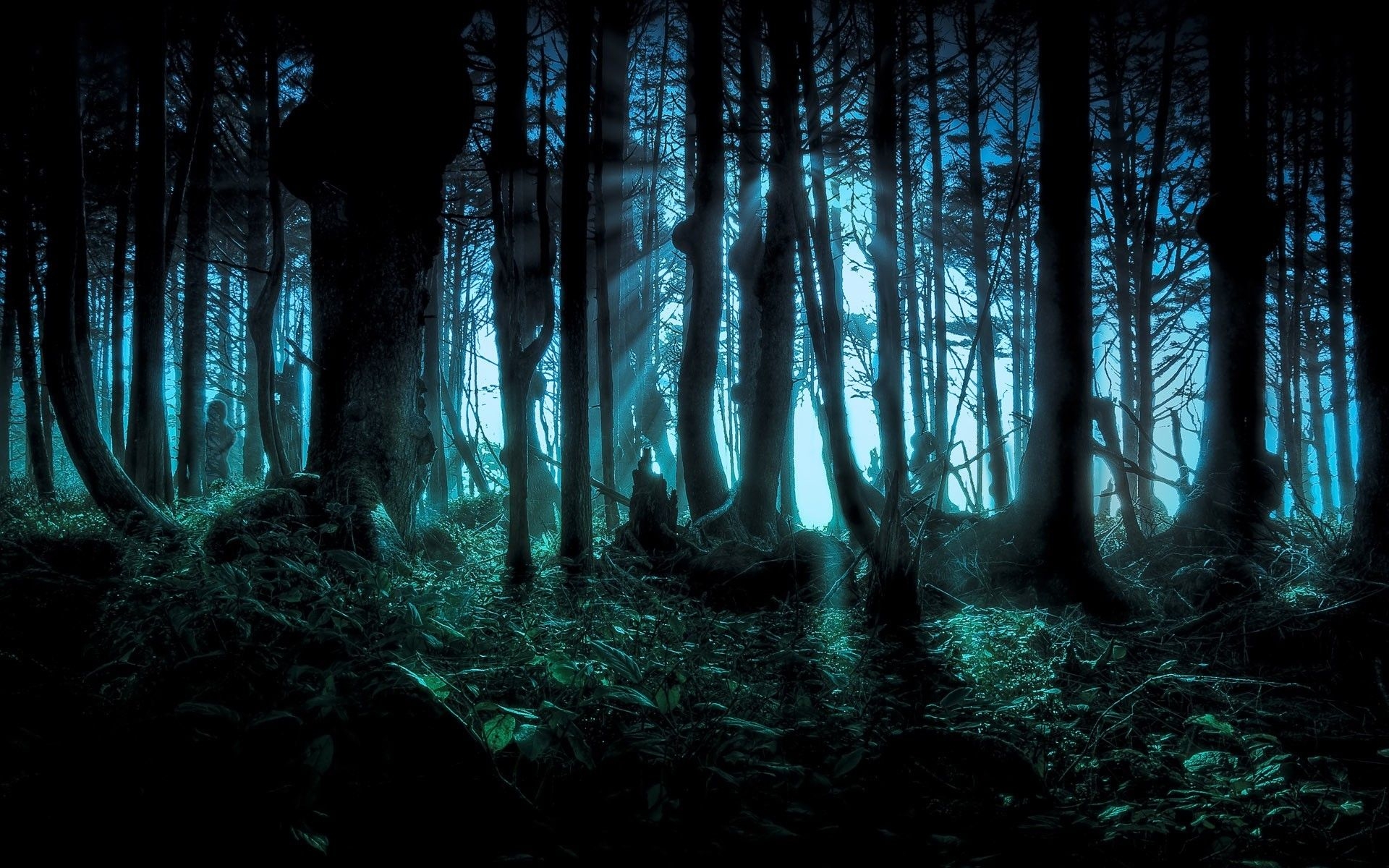 1920x1200 Haunted Forest Wallpaper Free Haunted Forest Background, Desktop