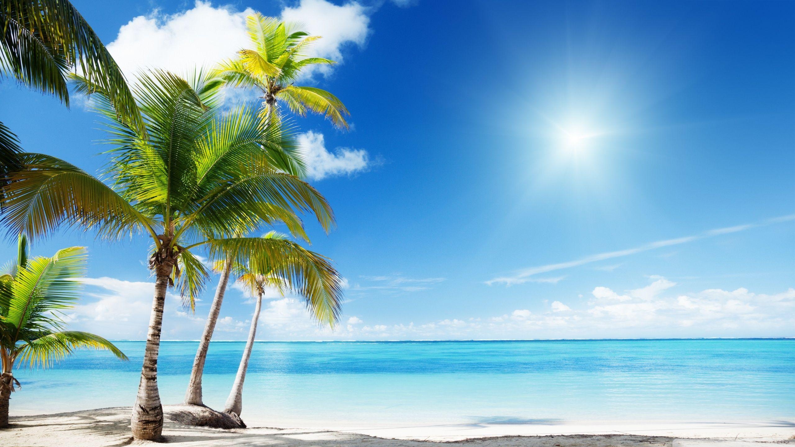 2560x1440 Landscape Tropical Beach Paradise Wallpaper at, Desktop