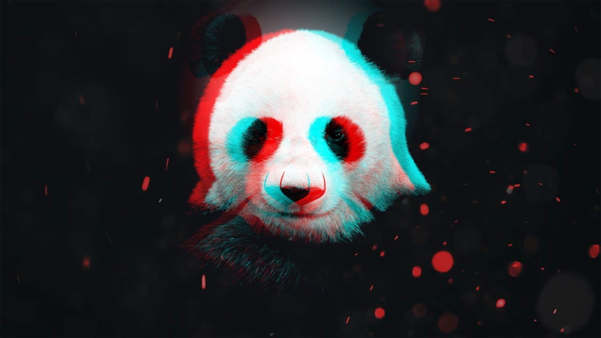 1920x1080 white and black panda wallpaper #panda D #particle P #wallpaper #hdwallpaper #desktop. Panda wallpaper, Panda art, R wallpaper, Desktop