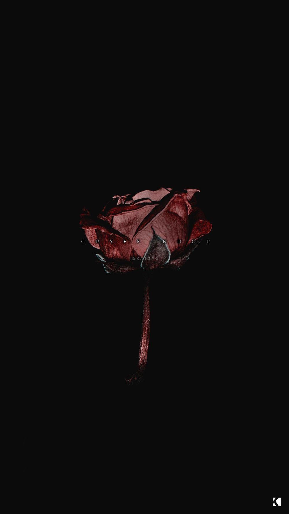 1000x1780 Aesthetic Pretty Aesthetic Black And Red Wallpaper, Phone