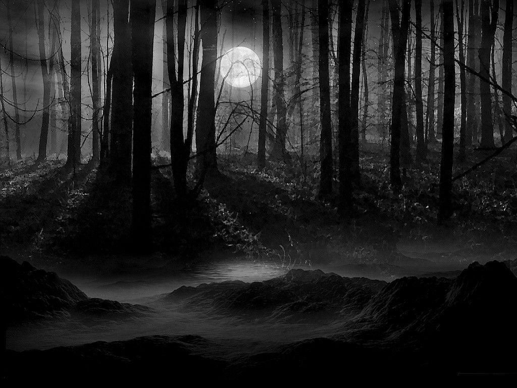 1030x770 Wallpaper For > Dark Forest Wallpaper, Desktop