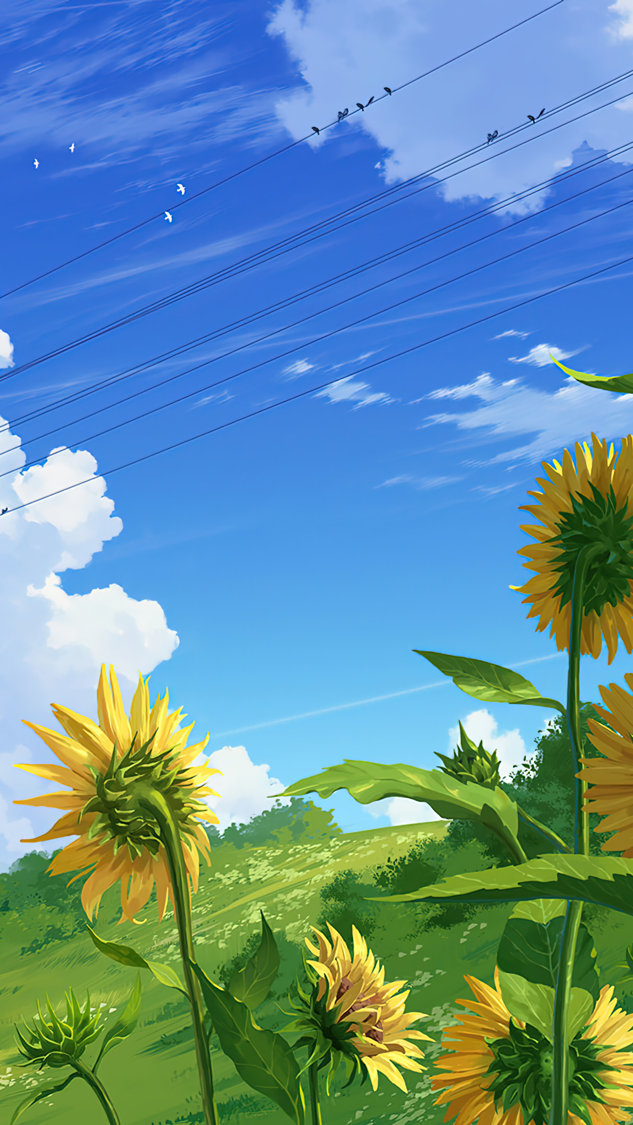 2160x3840 Free download Summer Day Sunflower Anime Scenery 4K Wallpaper iPhone HD Phone 2390f [] for your Desktop, Mobile & Tablet. Explore Summer Days Wallpaper. School Days Wallpaper, Three Days, Phone