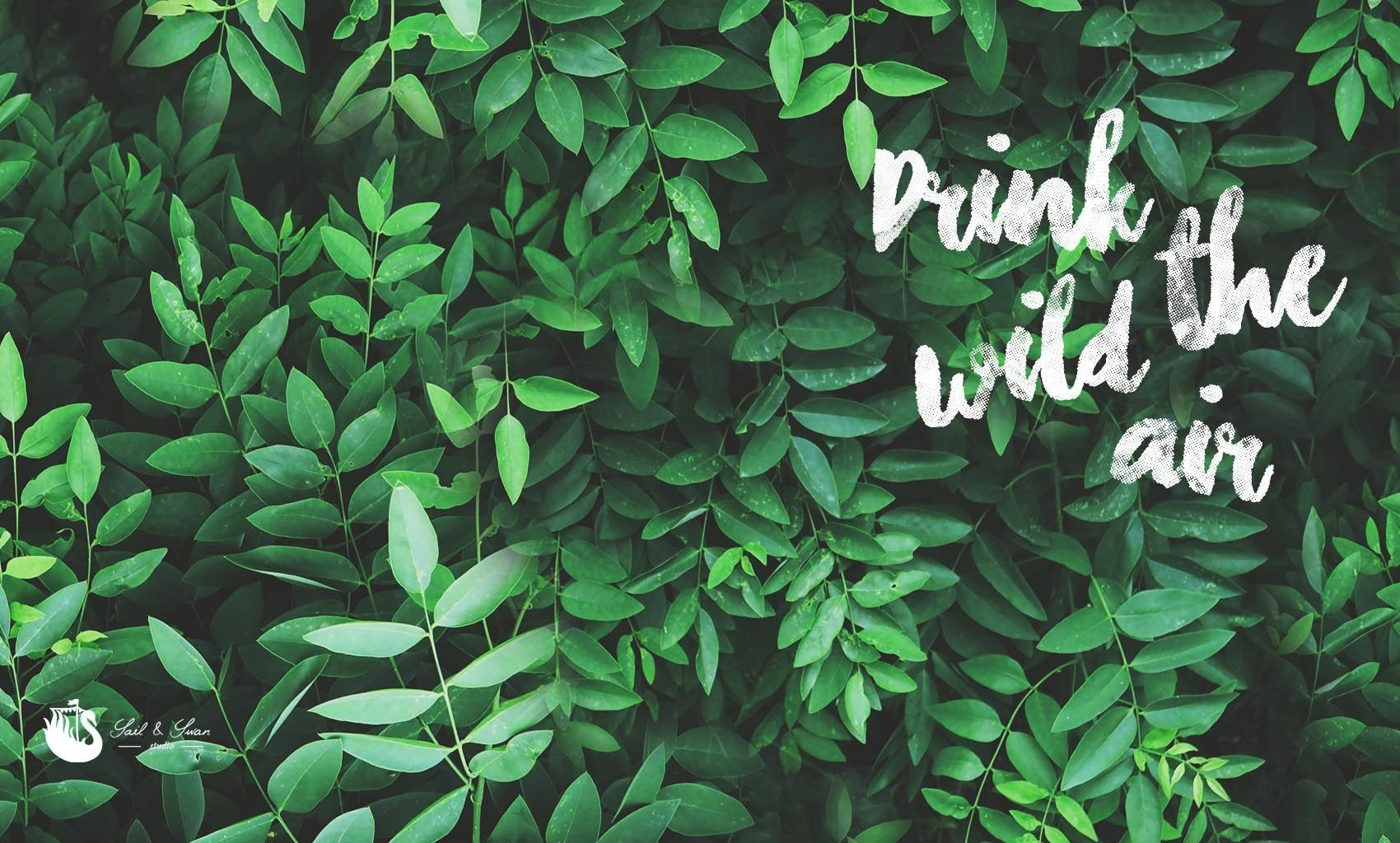 1700x1030 Green Aesthetic Desktop Wallpaper Free Green Aesthetic Desktop Background, Desktop