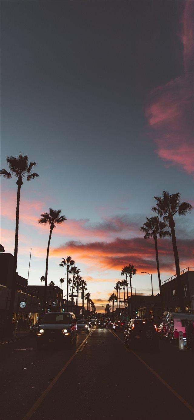 640x1390 Abbot Kinney iPhone X wallpaper #la #Urban #palmtree, Phone