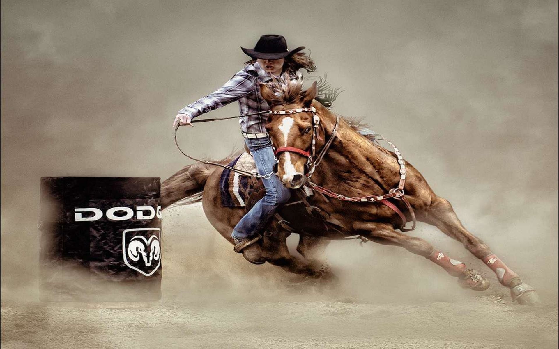 1920x1200 rodeo wallpaper, reining, rein, barrel racing, animal sports, western riding, Desktop