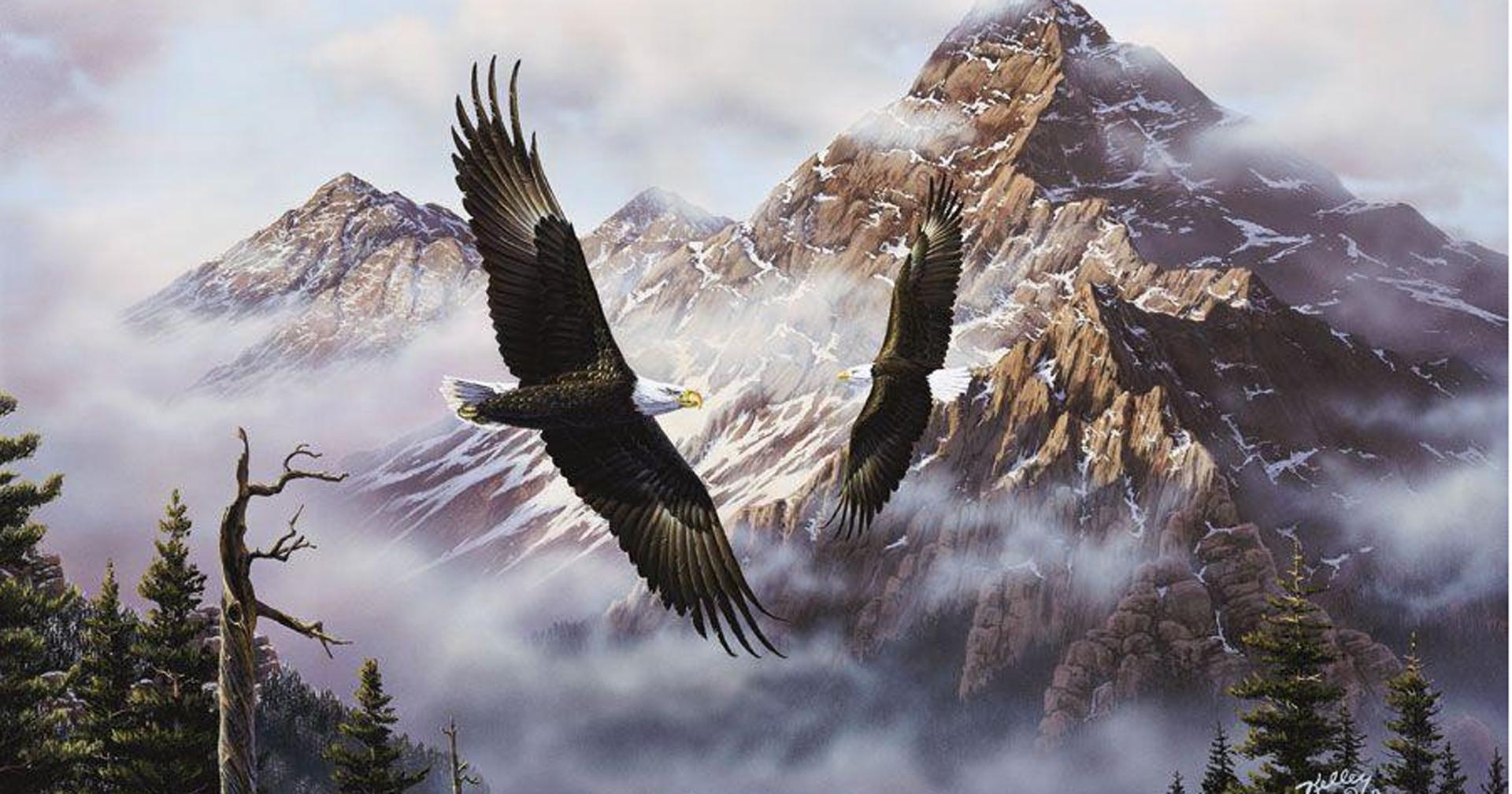 1920x1010 Flying American Eagle Wallpaper, Desktop