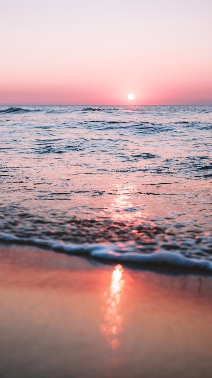 740x1310 Reminiscing Summer With 26 Sunny iPhone Xs Wallpaper, Phone