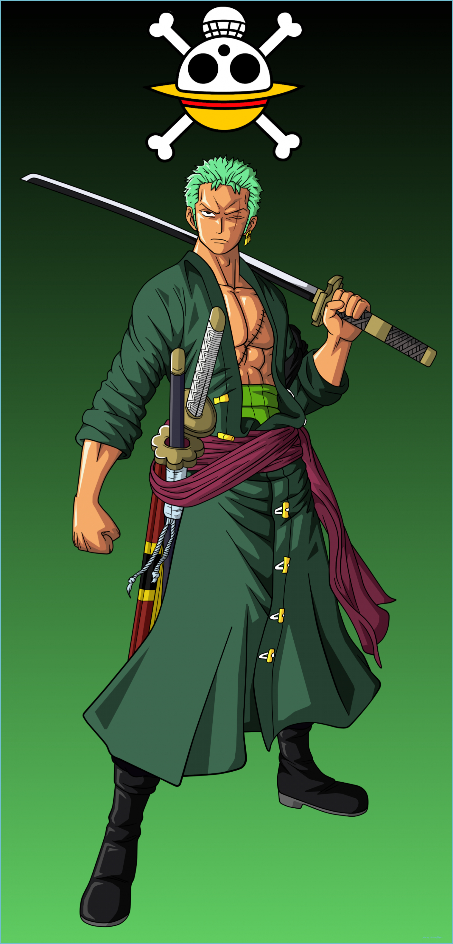 1530x3170 Zoro(One Piece) wallpaper for Pocophone F10 or any phone that have one piece wallpaper, Phone