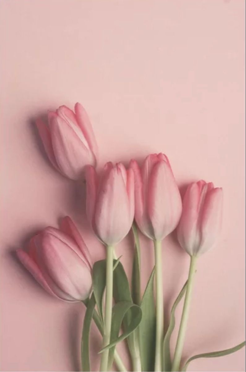 800x1200 Pretty Pink Tulips Art Print by joystclaire. Society6 flower, Flower aesthetic, Flower phone wallpaper, Phone