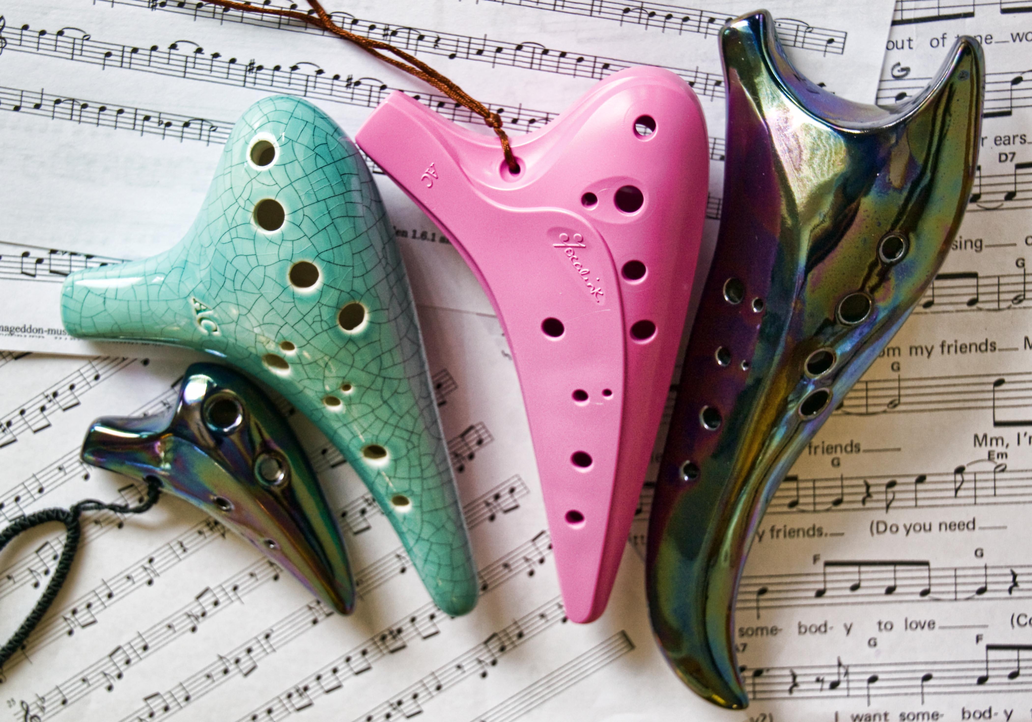 4210x2940 New Songbird baby Dragon tooth Ocarina Network, Desktop