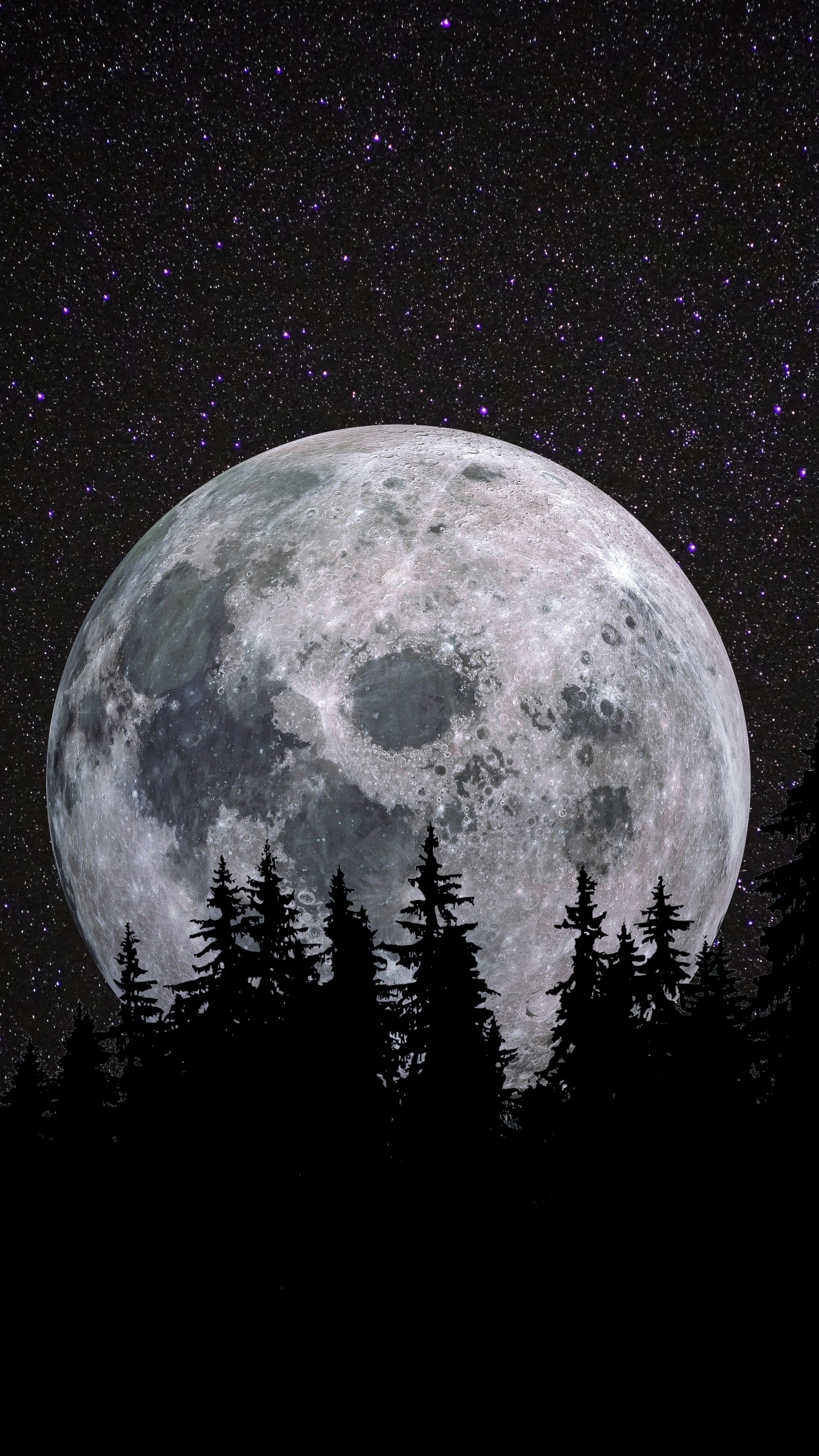 1250x2210 Full moon Wallpaper 4K, Forest, Night, Dark, Starry sky, Phone