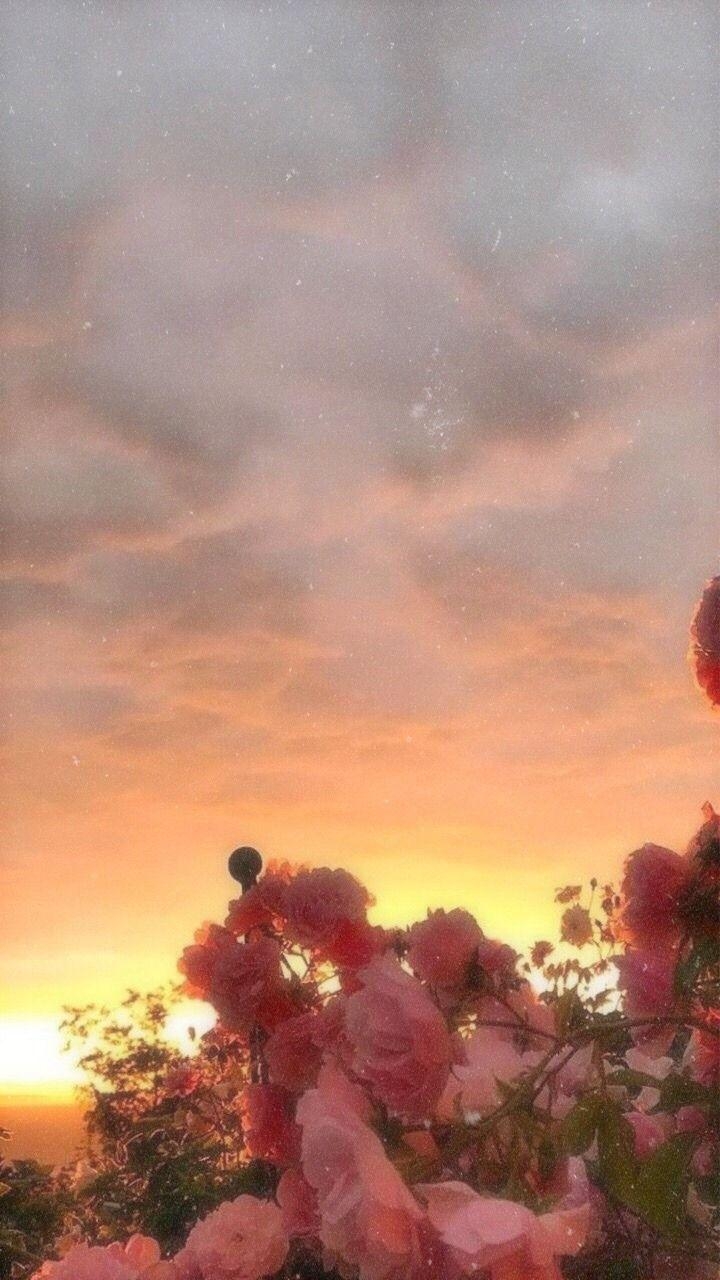 720x1280 Sunrise Aesthetic Wallpaper Free Sunrise Aesthetic, Phone