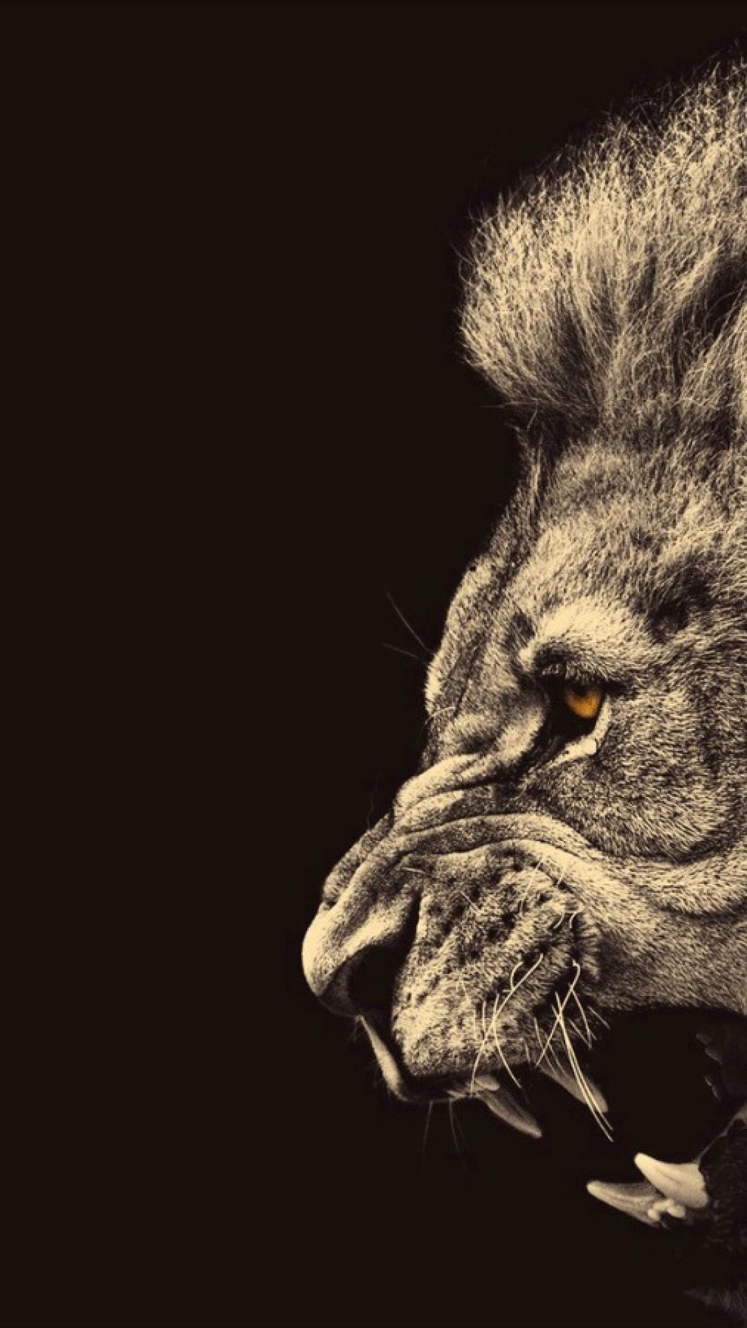 1080x1920 Lion iPhone Wallpaper Free Lion iPhone Background, Phone