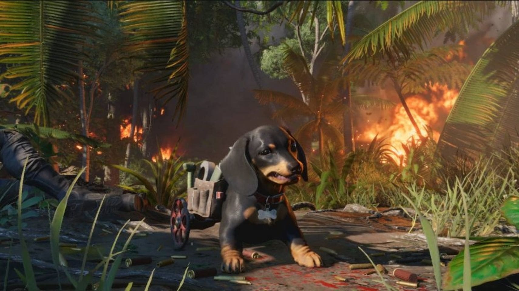 1710x970 Far Cry 6: How to Get the Chorizo the Sausage Dog Libertad Skin, Desktop