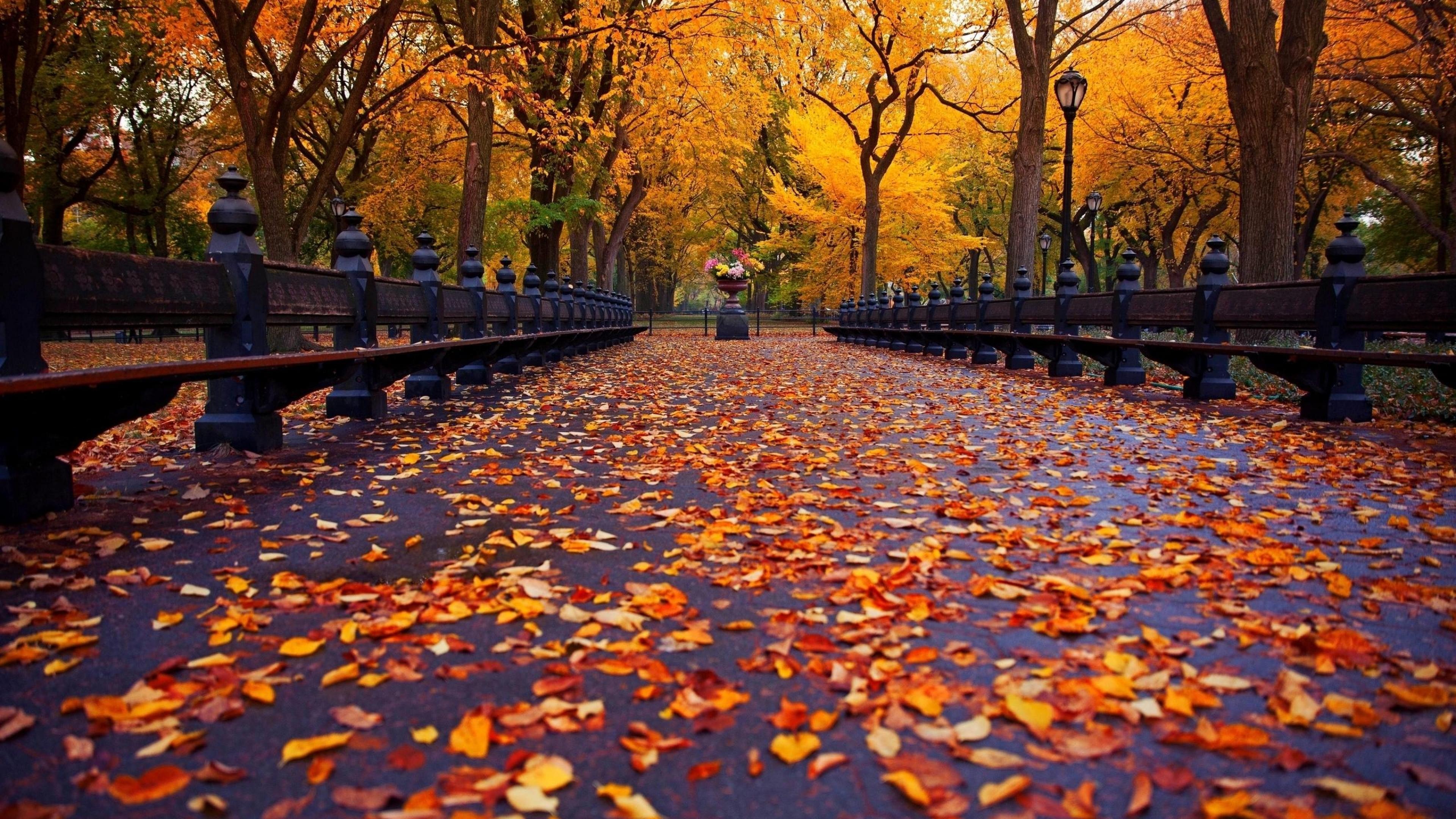 3840x2160 Autumn Aesthetic Laptop Wallpaper Free Autumn Aesthetic, Desktop