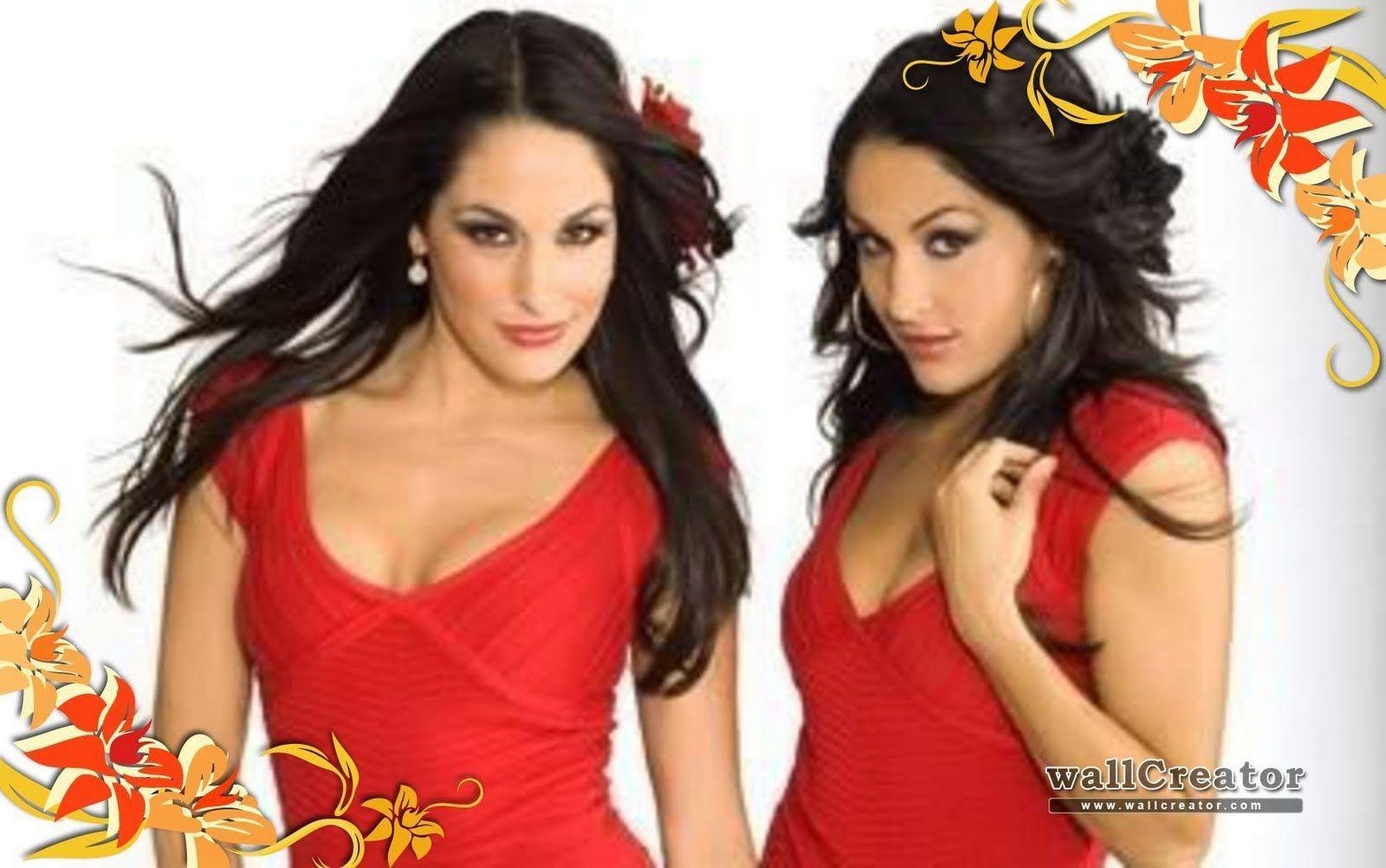 1600x1010 High Quality Desktop Wallpaper: WWE DIVAS ( The Bella Twins ), Desktop