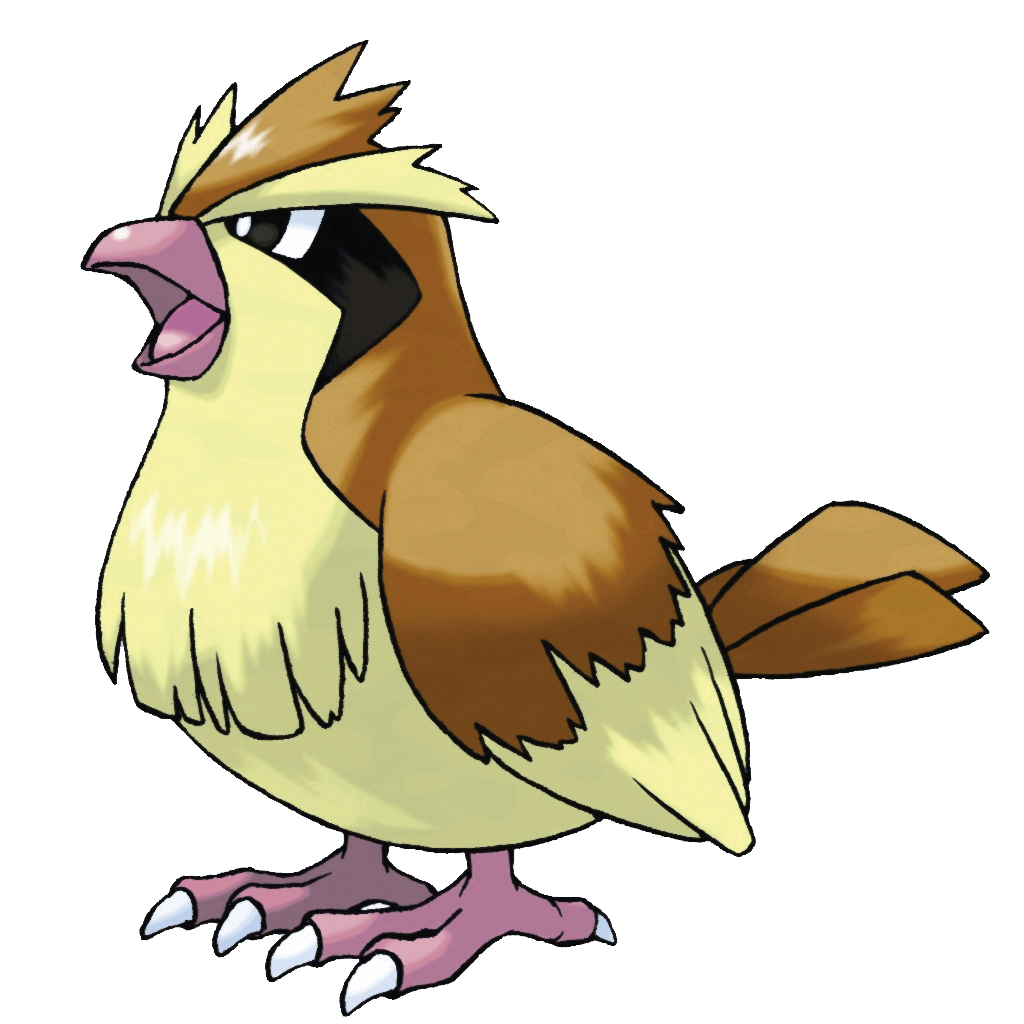 1030x1030 Pidgey common sight in forests and woods. It flaps its, Phone