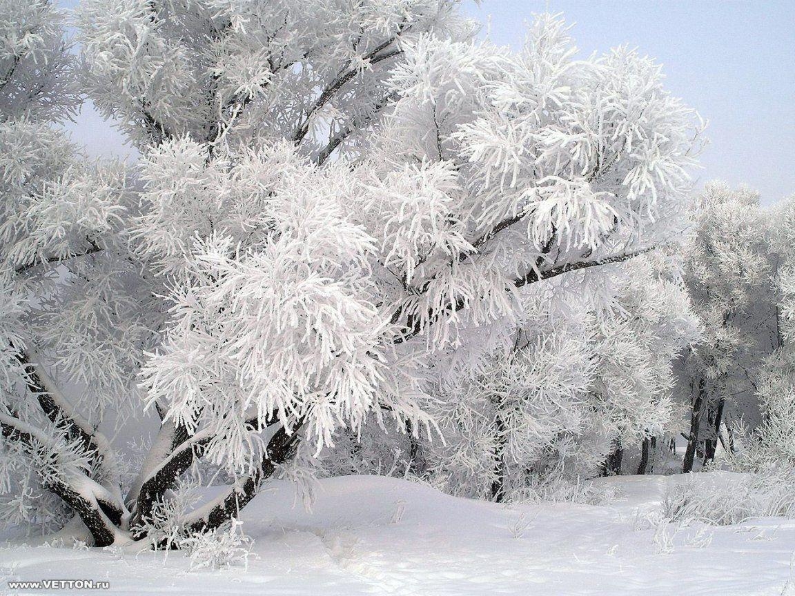 1160x870 Pix For > Snow Scenes Wallpaper As Background, Desktop