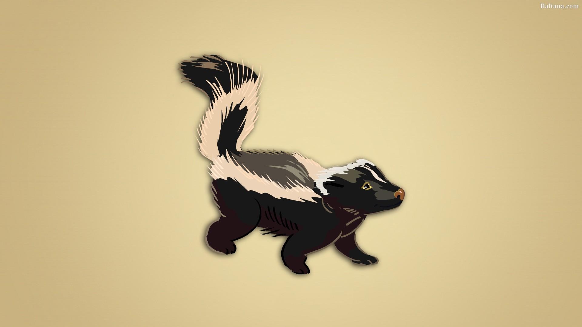 1920x1080 Skunk HD Wallpaper 31870, Desktop