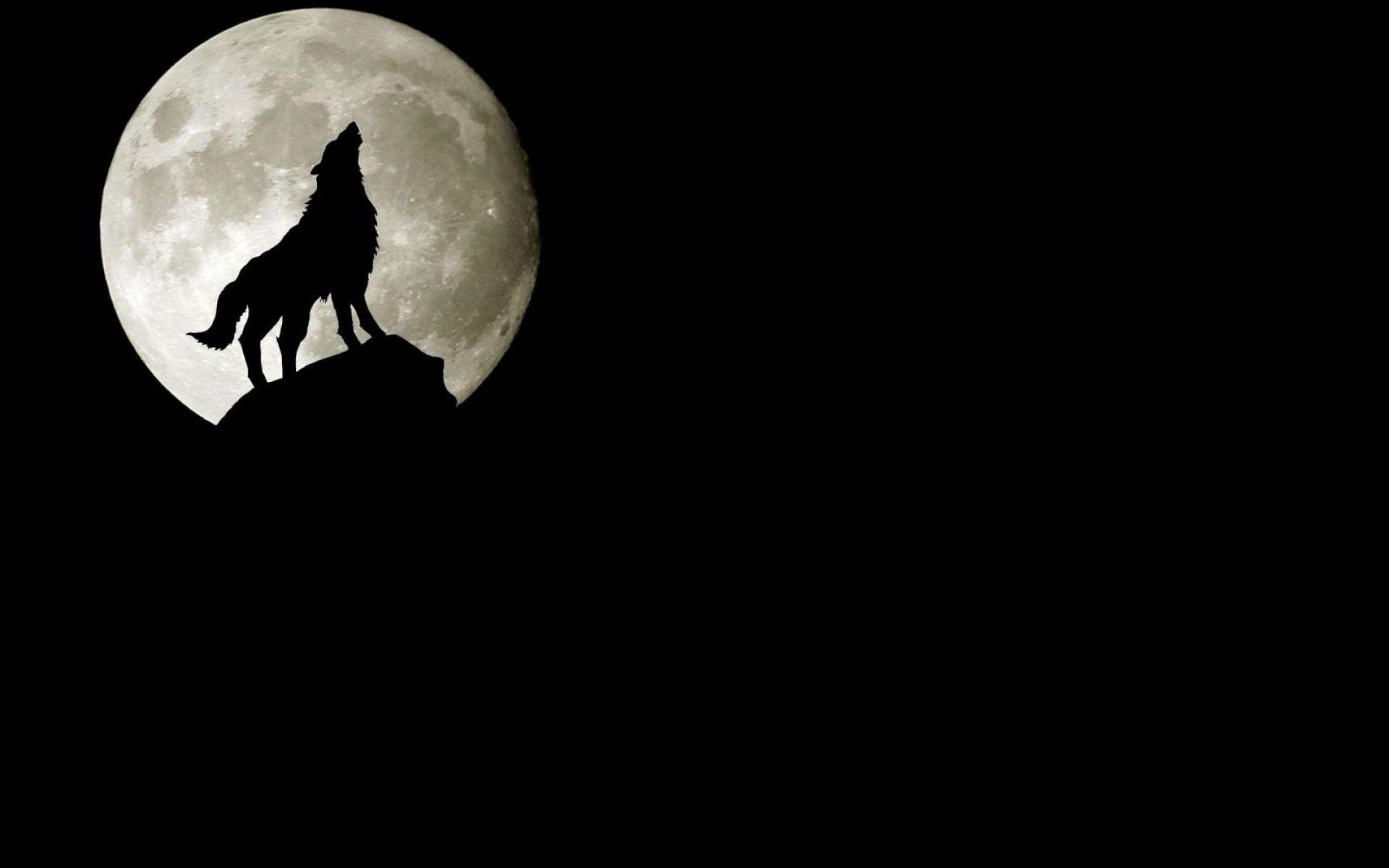 1920x1200 Wolf Moon Wallpaper Full HD, Desktop