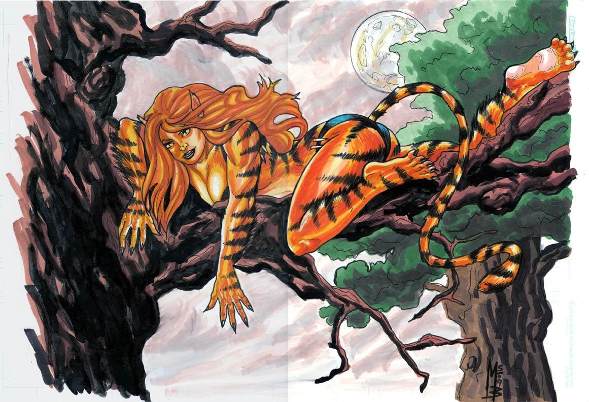 1170x800 Picture of Tigra Marvel Wallpaper, Desktop