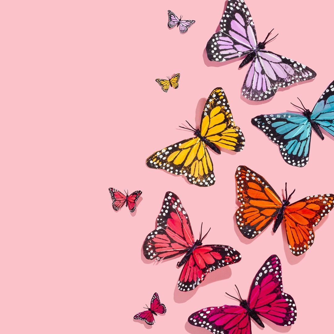 1080x1080 Rainbow of Butterflies. Amy Shamblen, Art Direction Photography, Phone