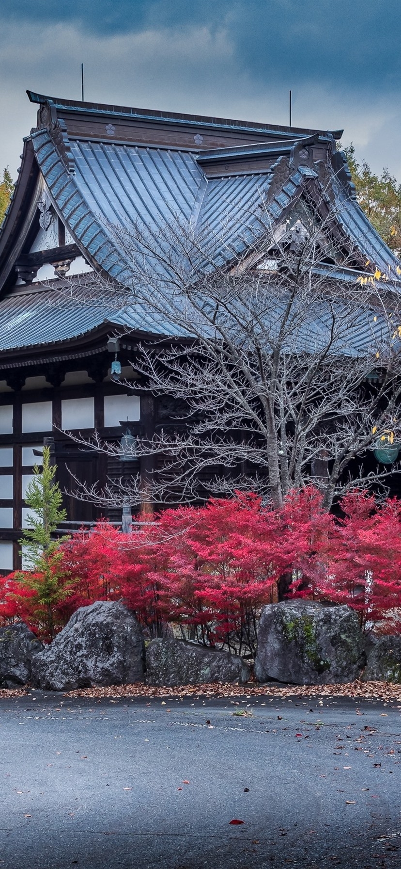 830x1800 Japan, Numata, Houses, Trees, Autumn  IPhone 11 XR Wallpaper, Background, Picture, Image, Phone